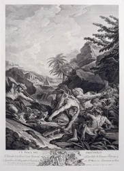 Crocodile Hunting
